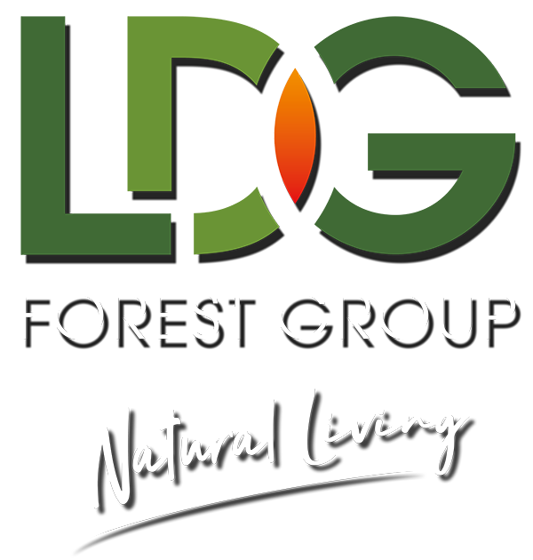 LDG Forest Group A/S